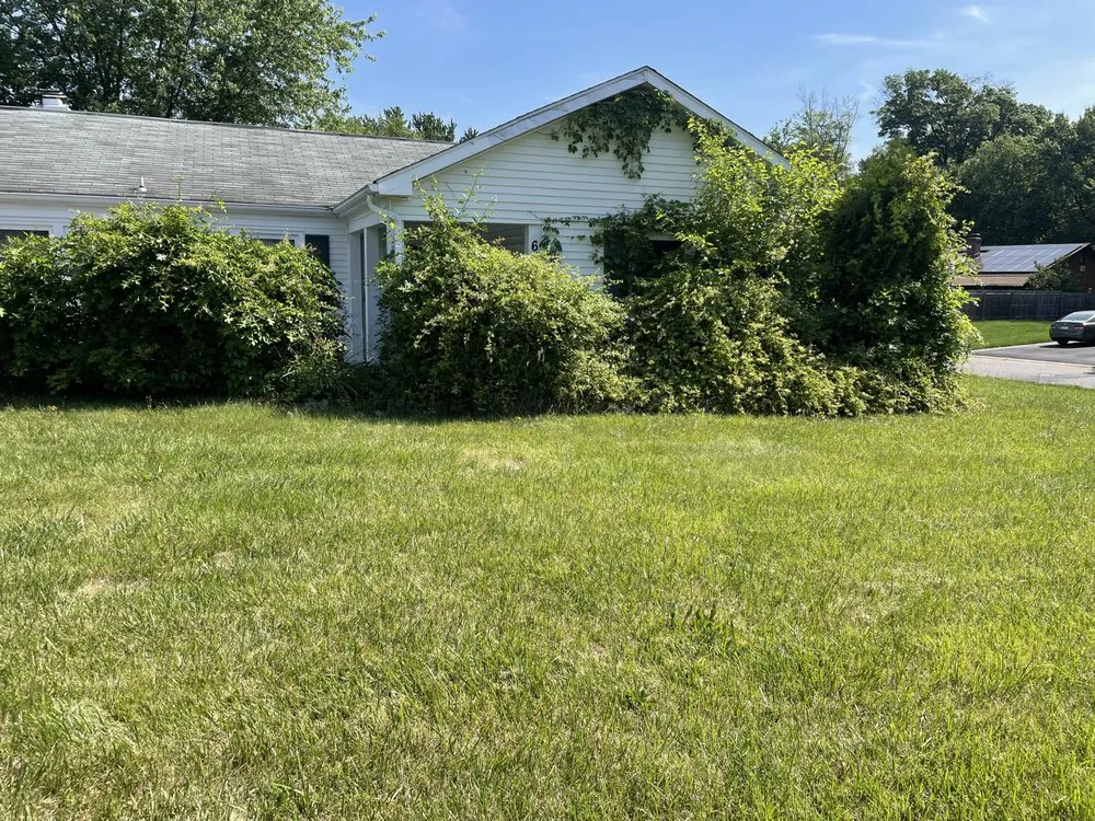 Expert lawn mowing service near you across Browns Mills, NJ - Up Next Contracting