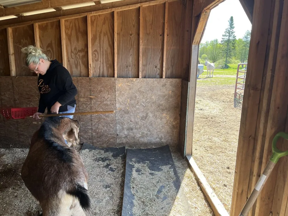 Reliable yard cleanup service experts serving Alpena, MI - Up North Cleanup