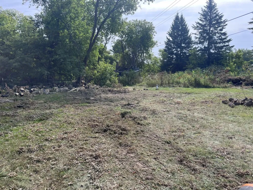 Professional yard cleanup service in Alpena, MI by Up North Cleanup