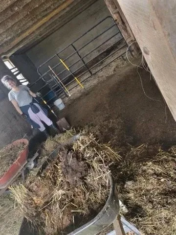 Professional yard cleanup service with custom design in Alpena, MI by Up North Cleanup