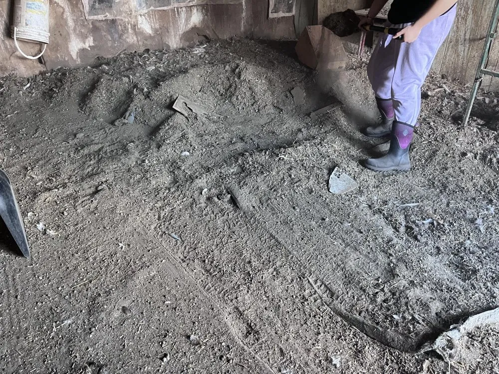 Top-rated yard cleanup service in Alpena, MI - Up North Cleanup