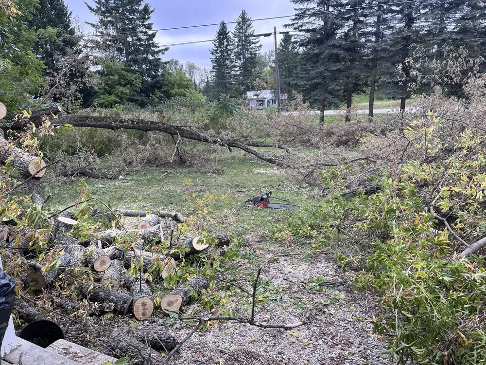 Affordable landscape installation in Alpena, MI - Up North Cleanup