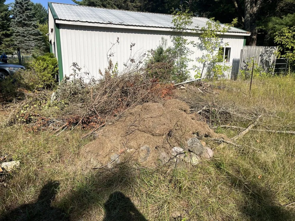 Local yard cleanup service for year-round maintenance in Alpena, MI by Up North Cleanup