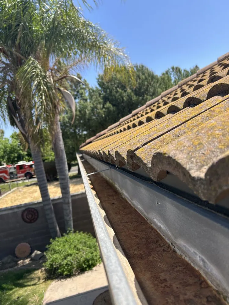 Custom landscape design in Mill Valley, CA - Up North Construction