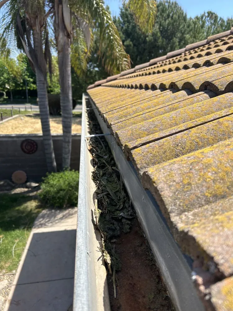 Affordable lawn care service for outdoor upgrades across Mill Valley, CA - Up North Construction