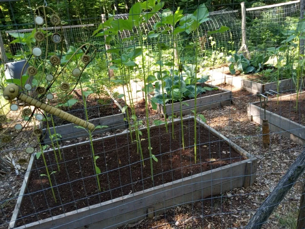 Top-rated landscape design in Ironwood, MI by UP North Painting