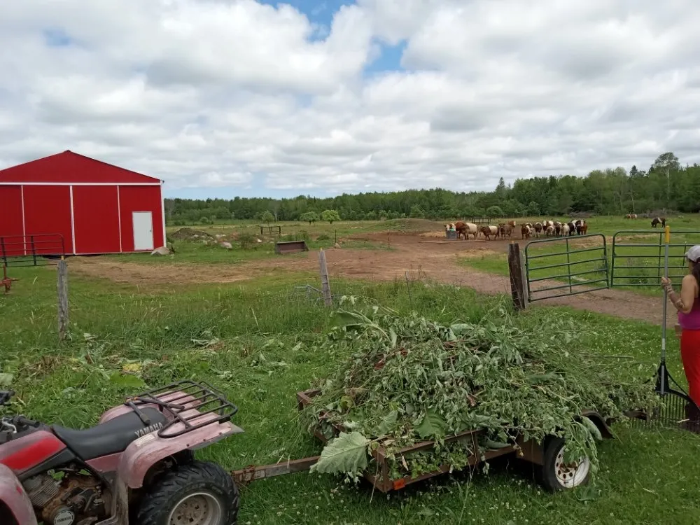 Professional landscaping services with custom design across Ironwood, MI - UP North Painting