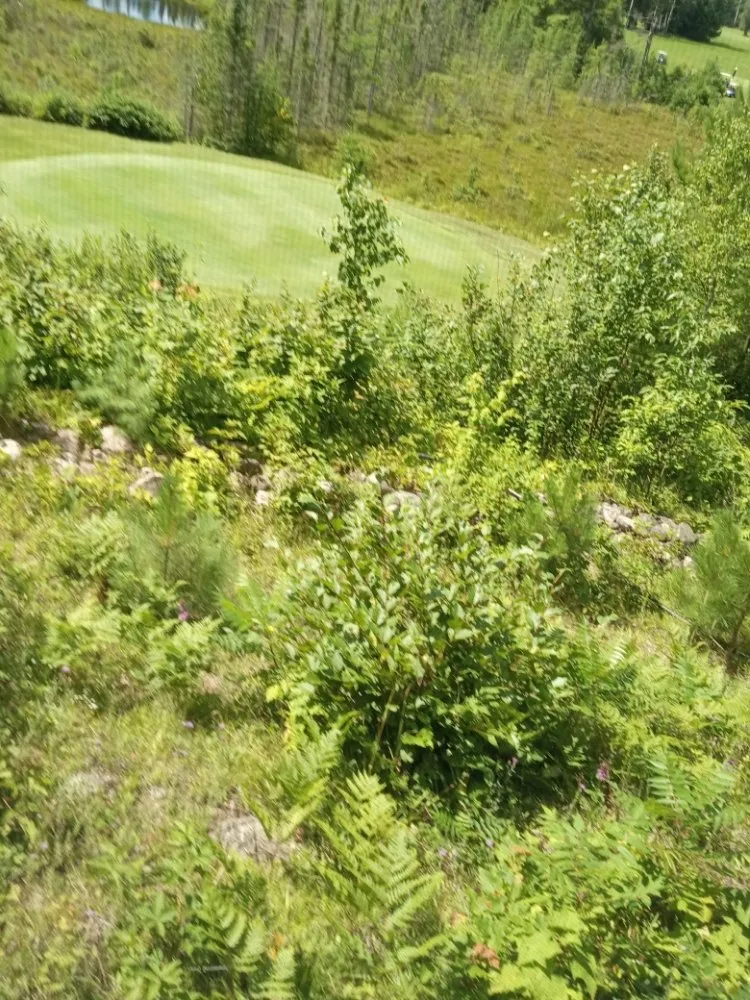 Local landscape installation for homes across Ironwood, MI - UP North Painting