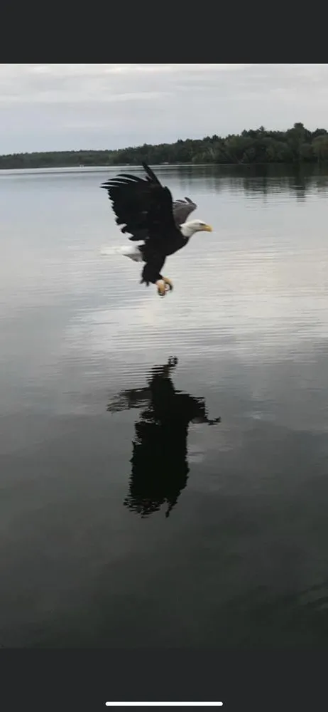 Custom landscaping services in Minong, WI - Up North Property Service