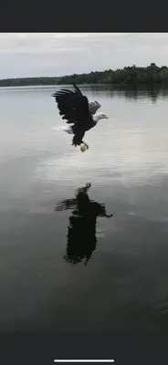 Up North Property Service Logo