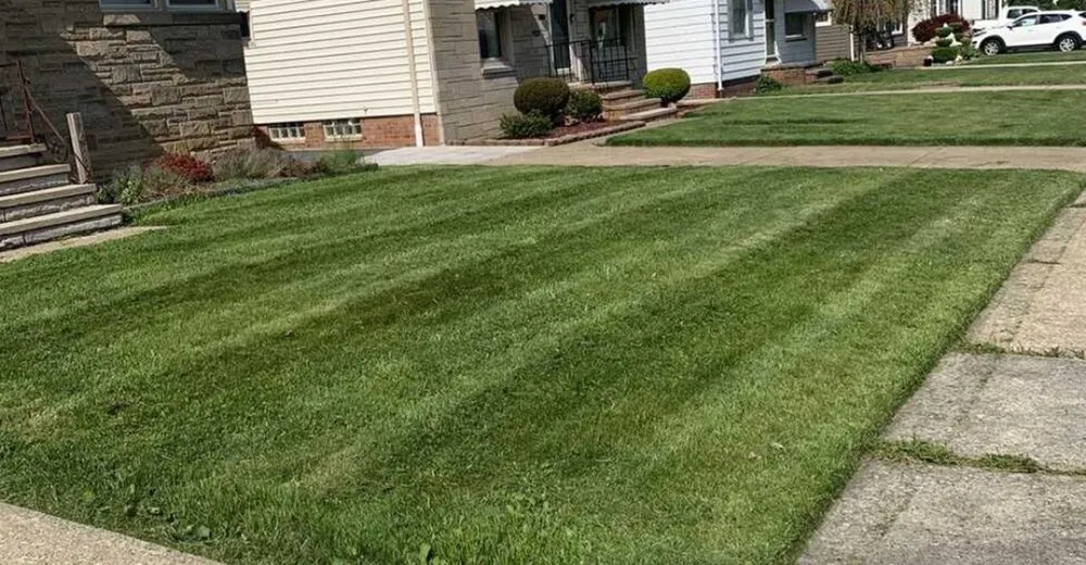 Custom yard cleanup service in Parma, OH by Up Your Grass Lawns