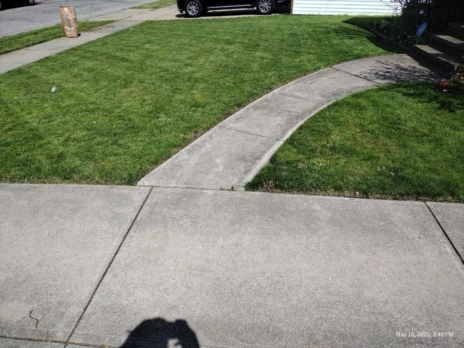 Custom landscape installation in Parma, OH - Up Your Grass Lawns