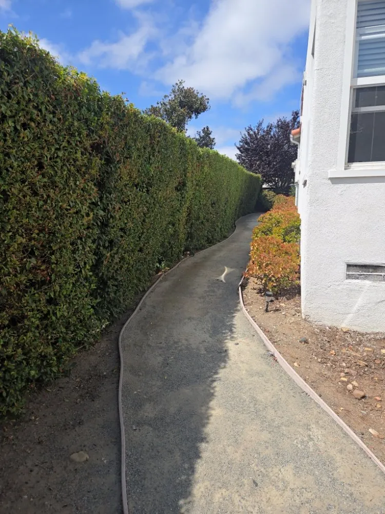 Affordable yard maintenance with custom design in El Cajon, CA by Upanapalandscape