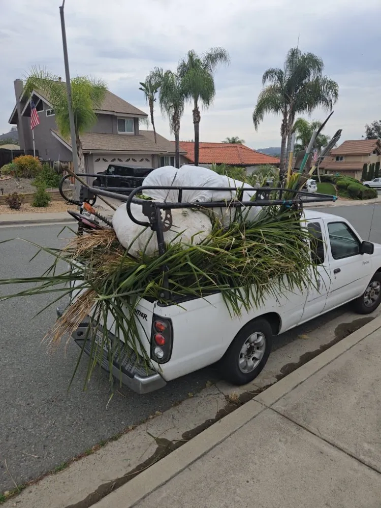 Affordable residential landscaping experts serving El Cajon, CA - Upanapalandscape
