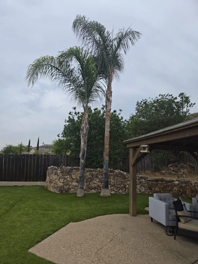 Local garden landscaping in El Cajon, CA by Upanapalandscape