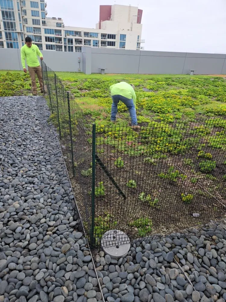 Reliable garden landscaping experts serving El Cajon, CA - Upanapalandscape