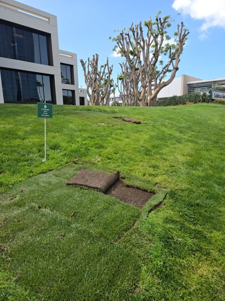 Professional outdoor landscaping for year-round maintenance across El Cajon, CA - Upanapalandscape