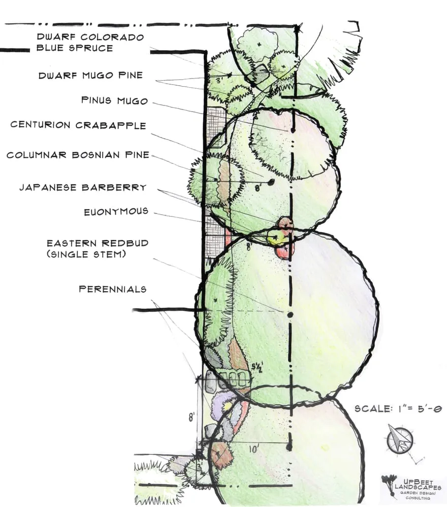 Reliable landscape design for homes in Lakewood, CO by UpBeet Landscapes