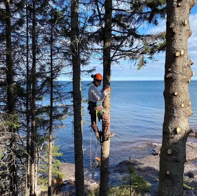 Top-rated outdoor landscaping experts serving Finland, MN - Upcountry Land Works