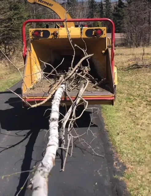 Local landscape installation for beautiful yards across Finland, MN - Upcountry Land Works