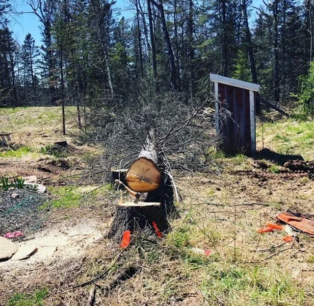 Trusted lawn care service in Finland, MN - Upcountry Land Works