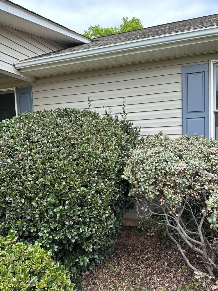 Affordable lawn mowing service in Walhalla, SC by Upcountry Landscaping