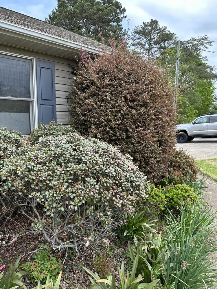 Trusted residential landscaping in Walhalla, SC - Upcountry Landscaping