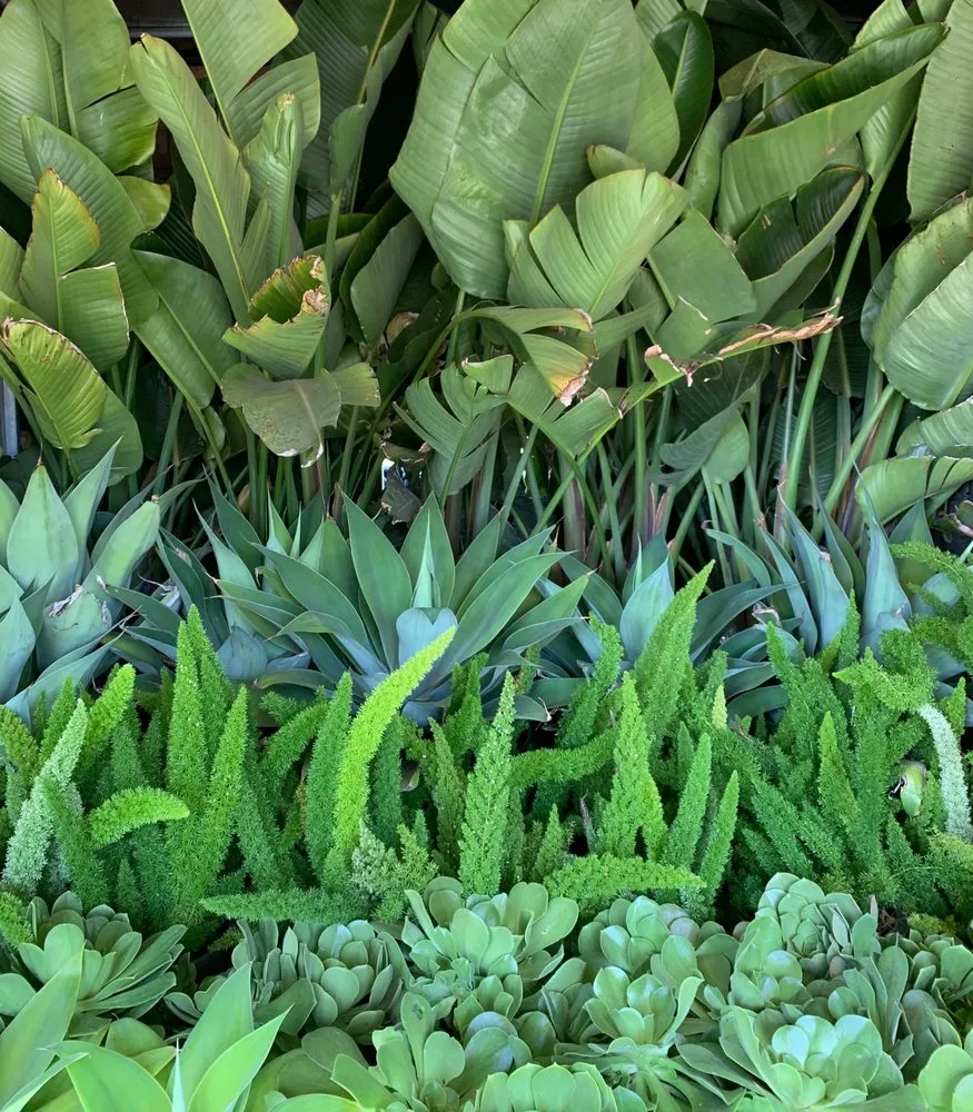 Top-rated garden landscaping in Fairview, TN - Upcountry Plant + Design