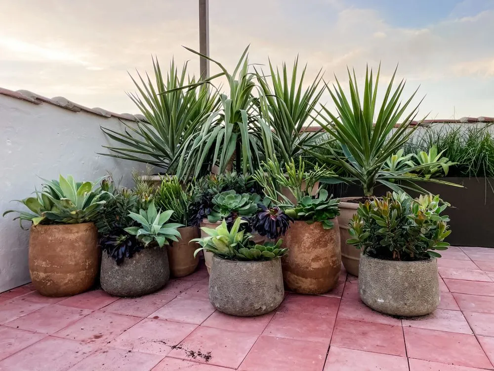 Trusted garden landscaping experts serving Fairview, TN - Upcountry Plant + Design