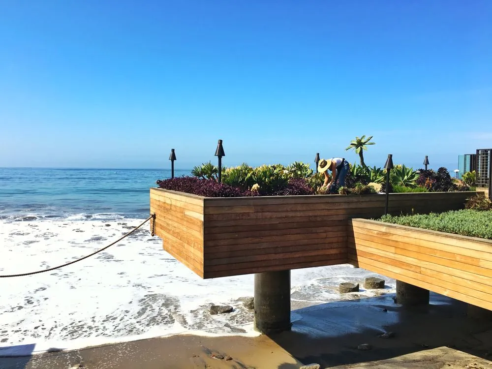 Trusted yard cleanup service for residential properties in Fairview, TN by Upcountry Plant + Design