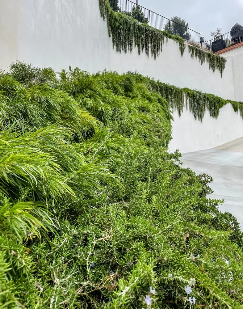 Local landscape design near you in Fairview, TN by Upcountry Plant + Design