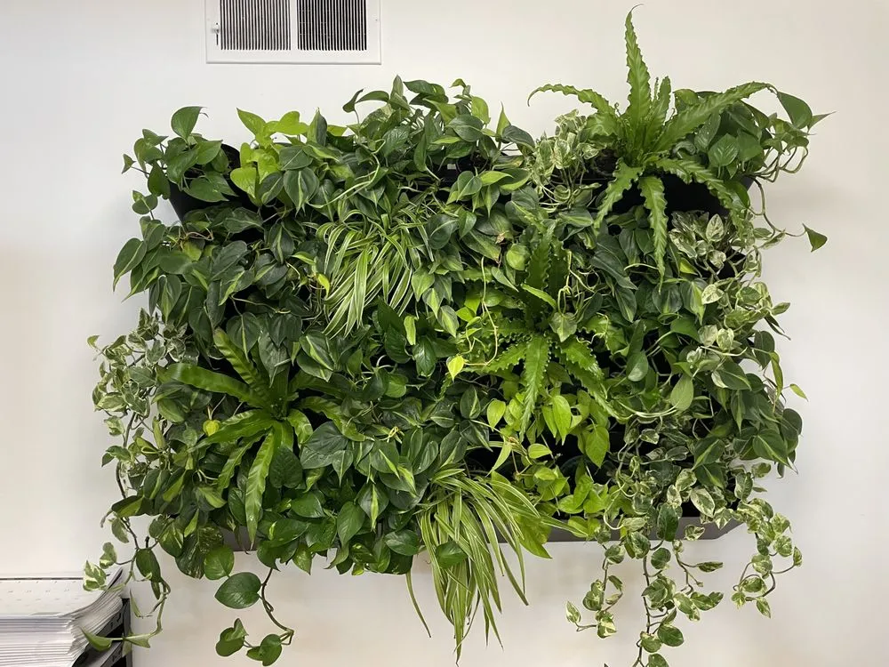 Professional residential landscaping in Fairview, TN - Upcountry Plant + Design