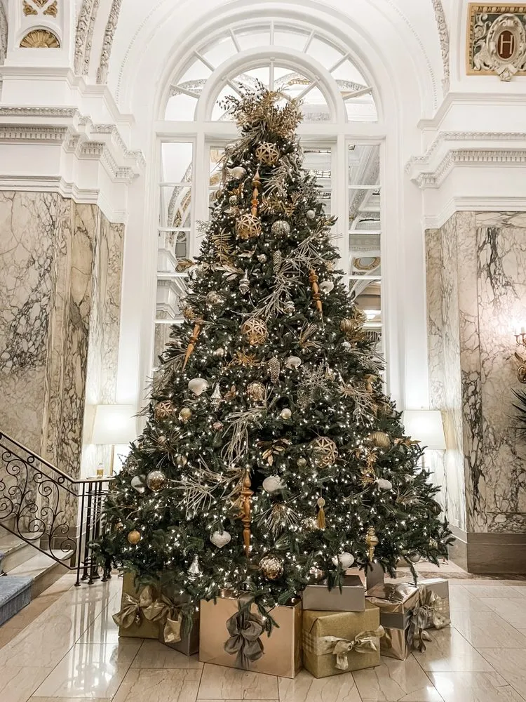 Affordable landscaping services with custom design in Fairview, TN by Upcountry Plant + Design