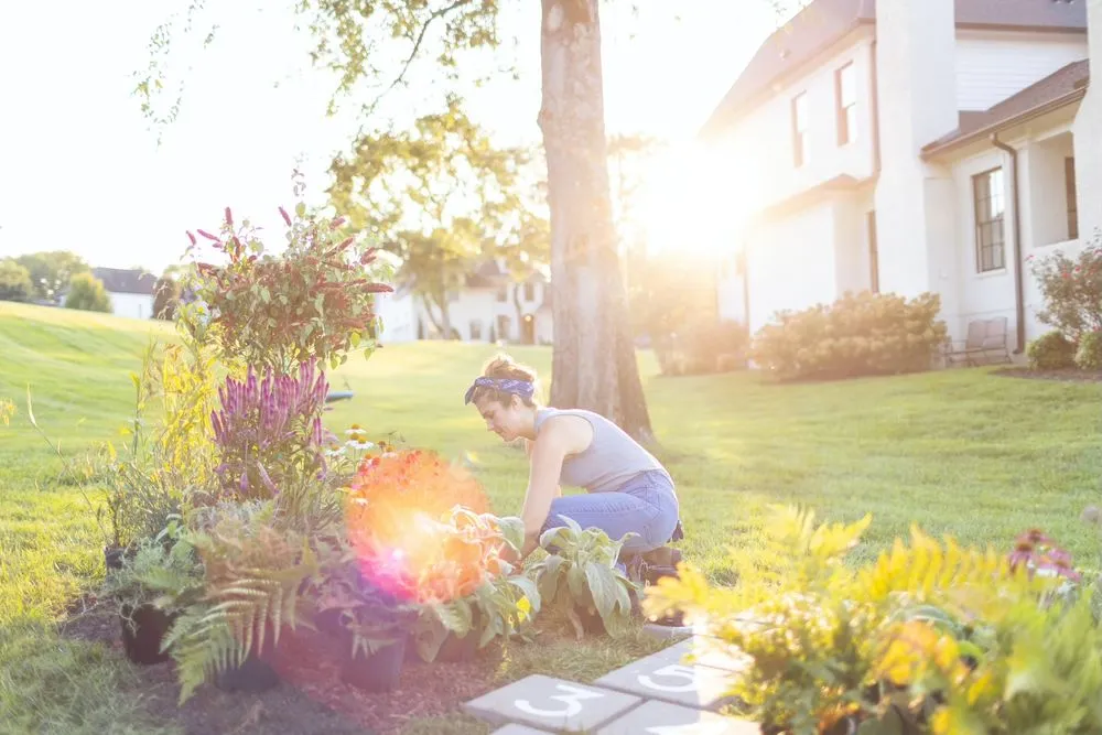Local residential landscaping for homes in Fairview, TN by Upcountry Plant + Design