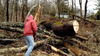 Local garden landscaping in Sharon, CT by Upcountry Services Of Sharon