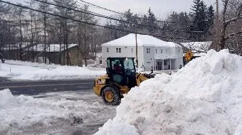 Expert lawn care service experts serving Sharon, CT - Upcountry Services Of Sharon