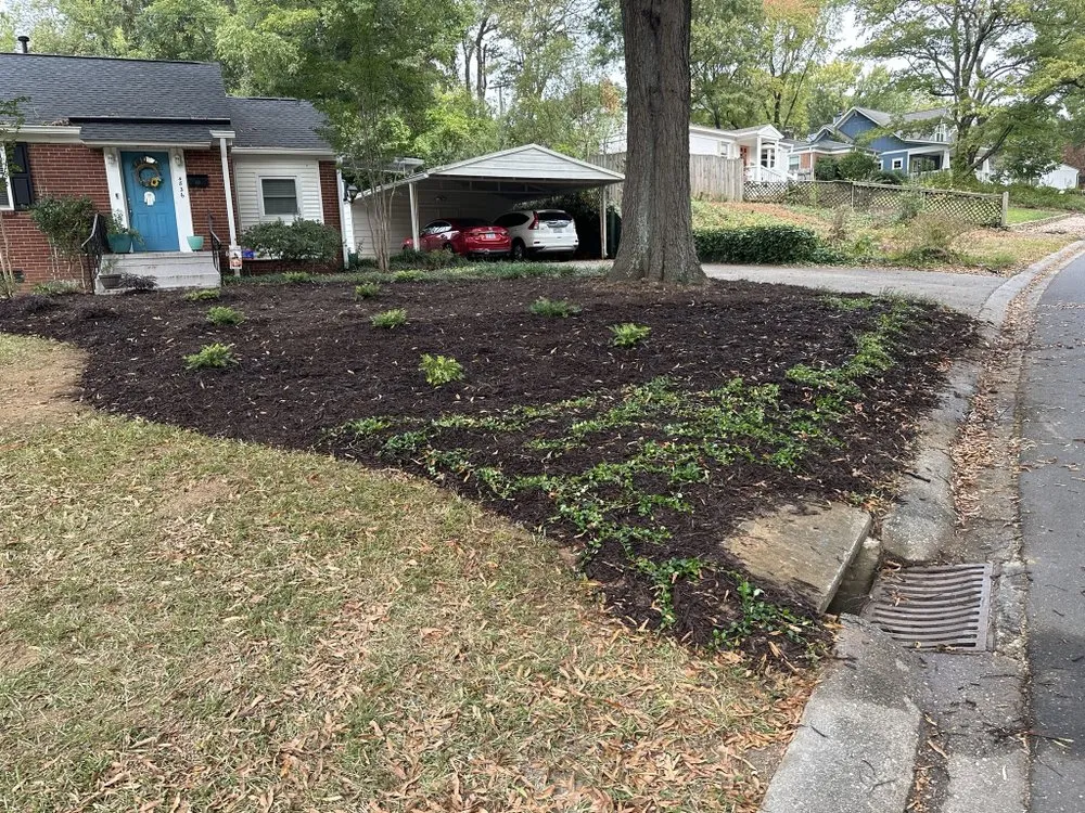 Affordable landscaping services in Charlotte, NC - Upcycled Landscape and Design