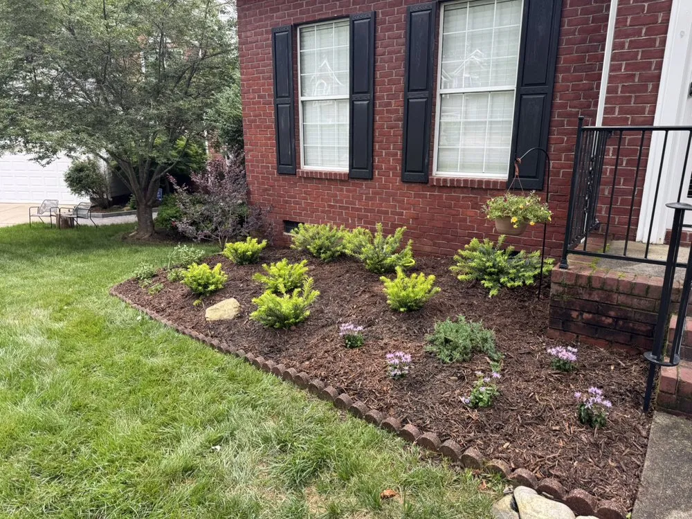 Affordable yard cleanup service experts serving Charlotte, NC - Upcycled Landscape and Design