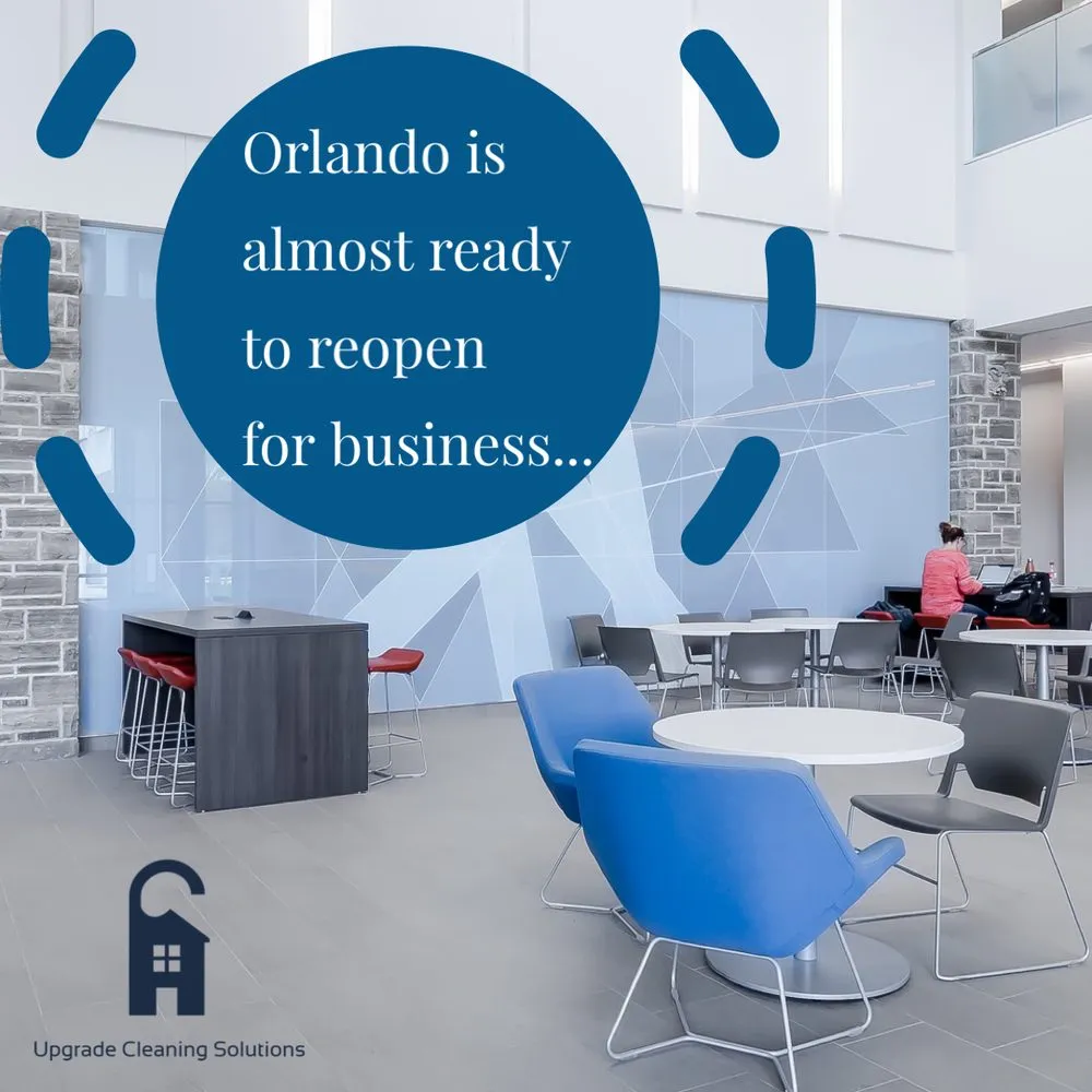 Custom yard maintenance for homes across Windermere, FL - Upgrade Cleaning Solutions