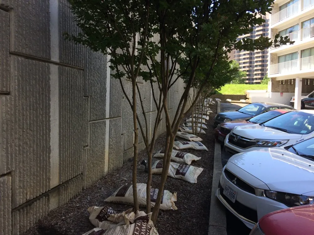 Top-rated yard cleanup service for residential properties across Arlington, VA - Upgrade Home Improvement