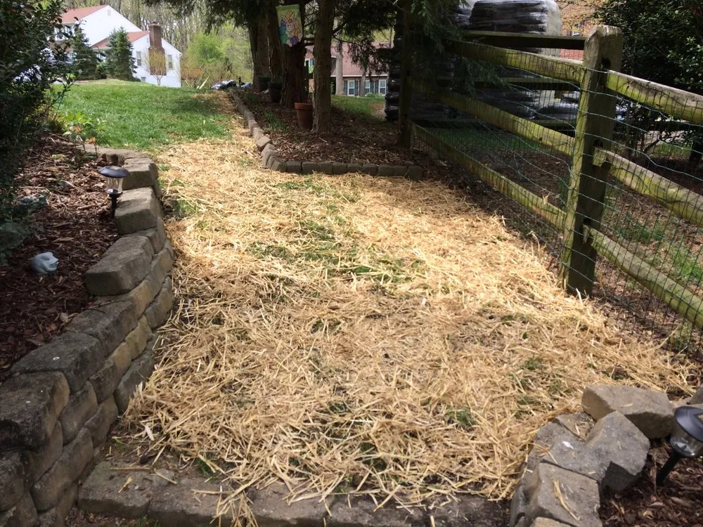 Expert landscape design in Arlington, VA by Upgrade Home Improvement