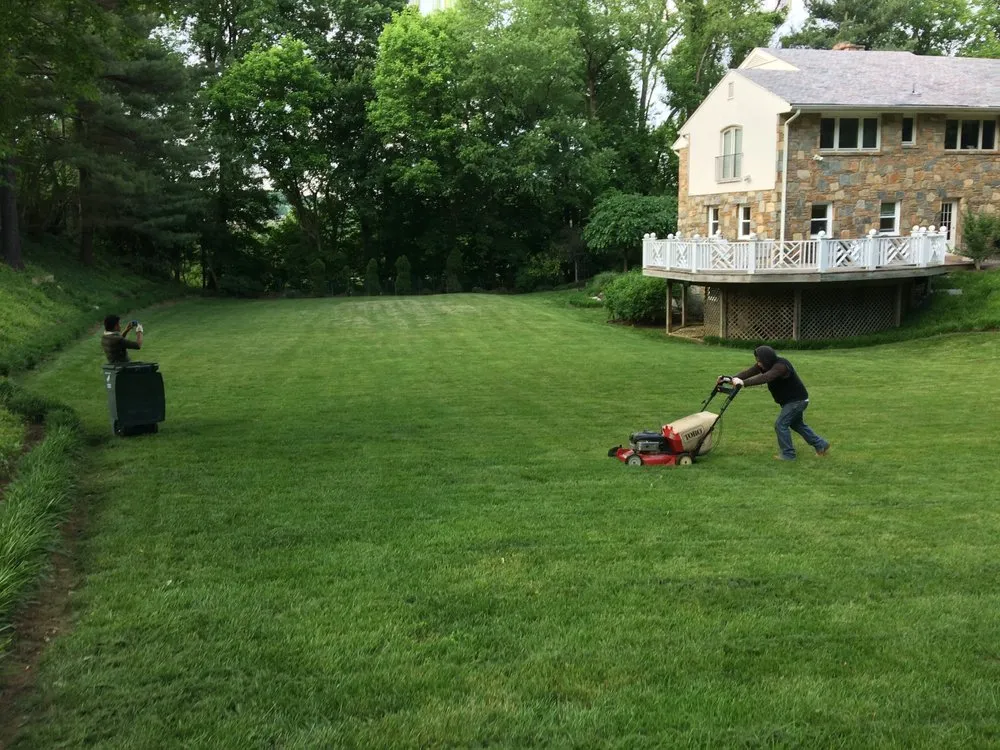 Professional lawn care service in Arlington, VA - Upgrade Home Improvement