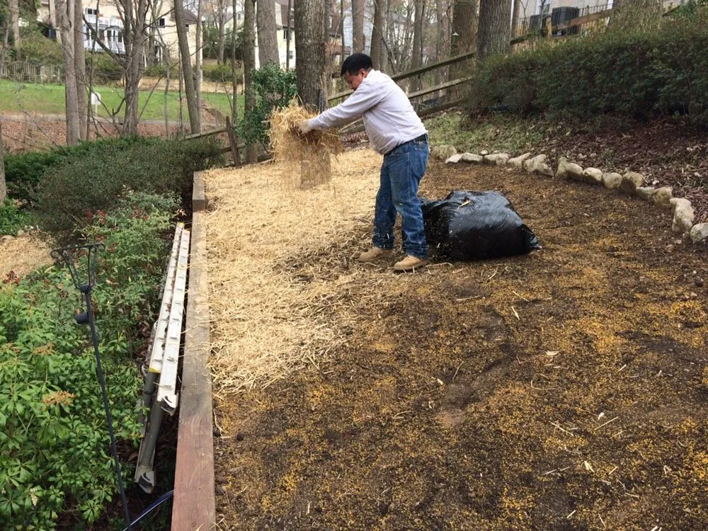 Top-rated outdoor landscaping in Arlington, VA by Upgrade Home Improvement