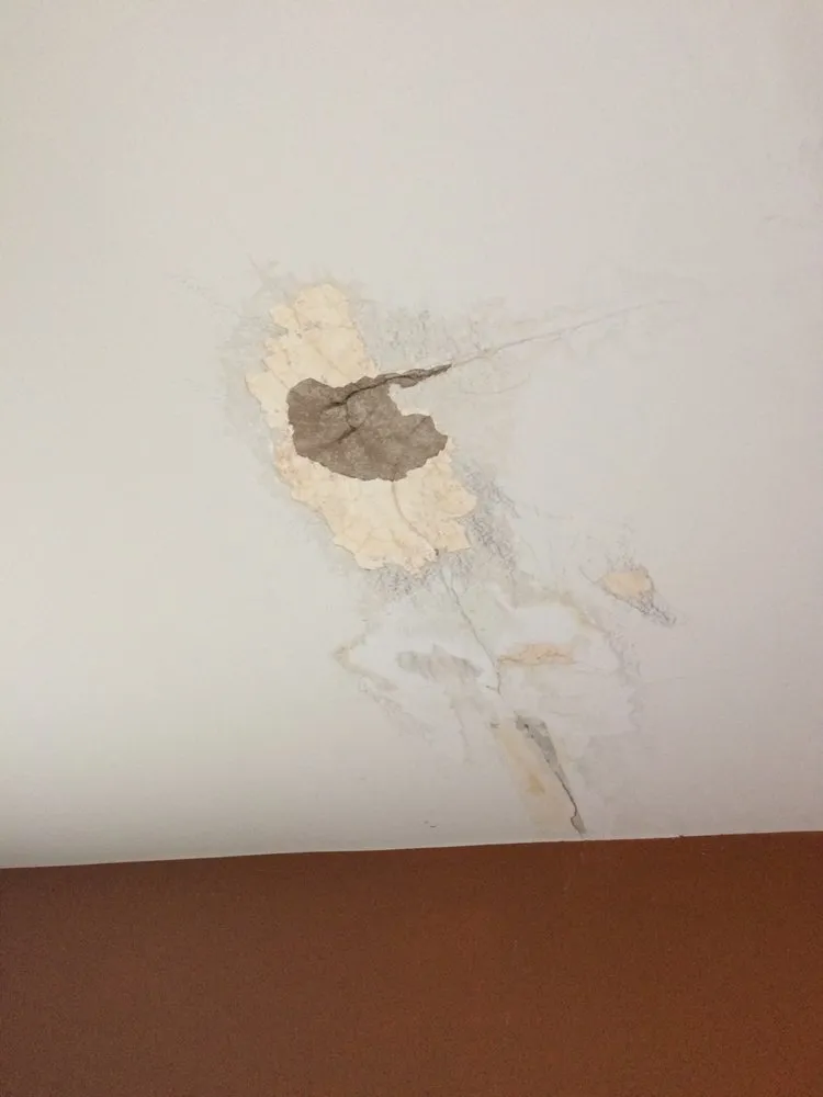 Local lawn mowing service for residential properties across Arlington, VA - Upgrade Home Improvement