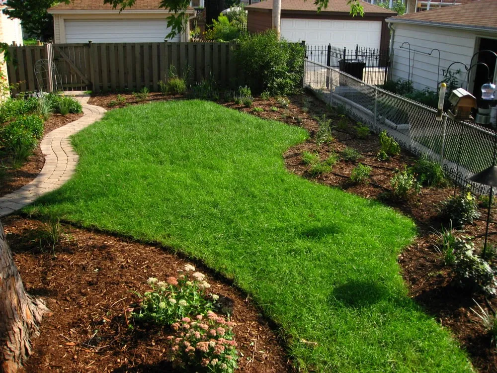 Affordable lawn care service experts serving Arlington, VA - Upgrade Home Improvement