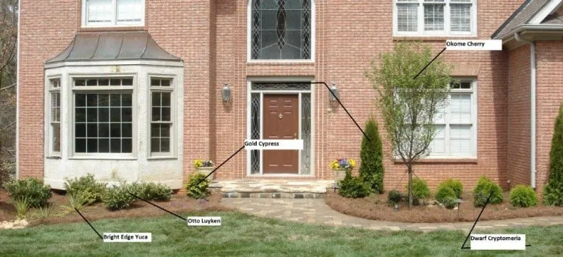 Top-rated outdoor landscaping for beautiful yards across Cumming, GA - Upgrade Landscaping