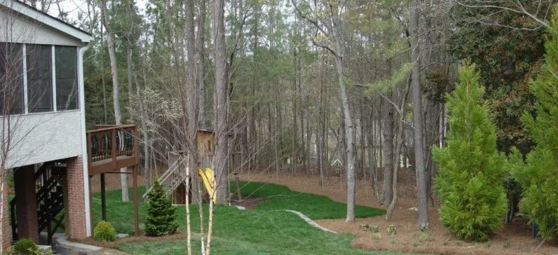 Professional yard cleanup service experts serving Cumming, GA - Upgrade Landscaping