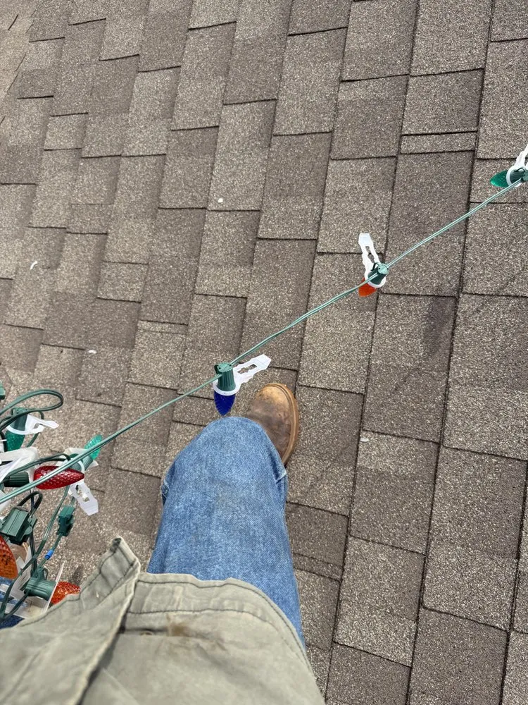 Professional landscape installation in New Braunfels, TX by UpHill