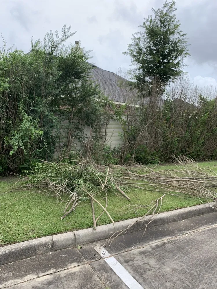 Trusted garden landscaping experts serving New Braunfels, TX - UpHill