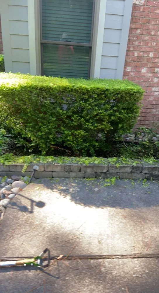 Professional lawn care service experts serving New Braunfels, TX - UpHill